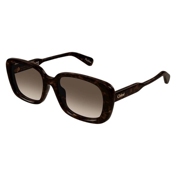 New CHLOE Gayia Havana Square CH0225SK 002 Sunglasses Women - Picture 1 of 4